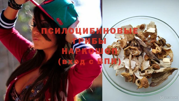 гашик Аркадак
