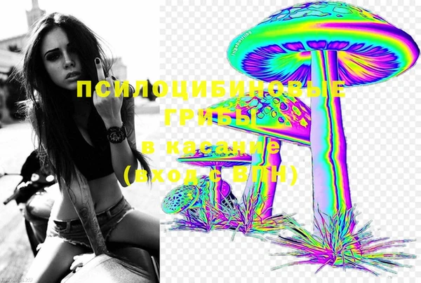 гашик Аркадак